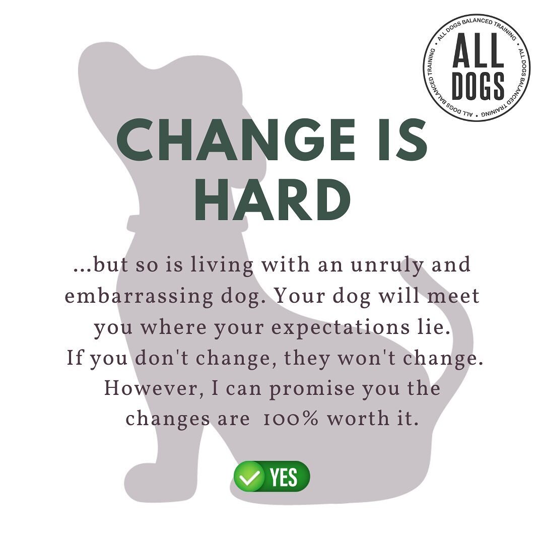 Change and progress doesn&rsquo;t happen without discomfort. #labradoodle #dogtraining #traindontcomplain #dogtrainer #ecollartechnologies #ruffthreads #esp_wef #balanceddogtraining #ecollartechnologies #ecollar #worthavenue #equifit #cratetrain #her