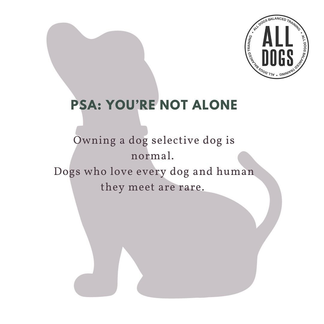 Dogs actually don&rsquo;t need to interact with other dogs to live a full and happy life. #ecollartechnologies #dogtrainer #dogtraining #indianapolis #indy