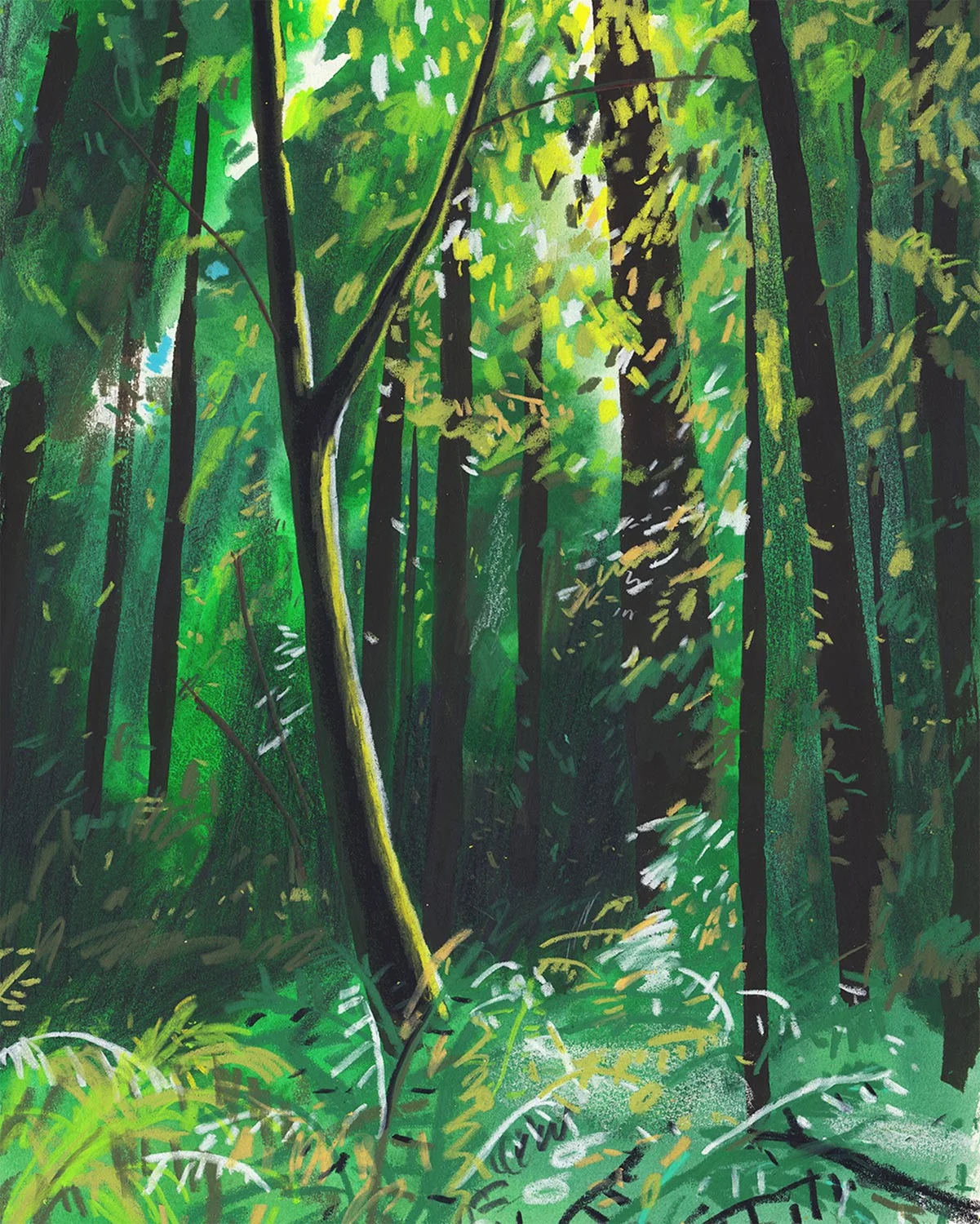 jungle-web.jpg