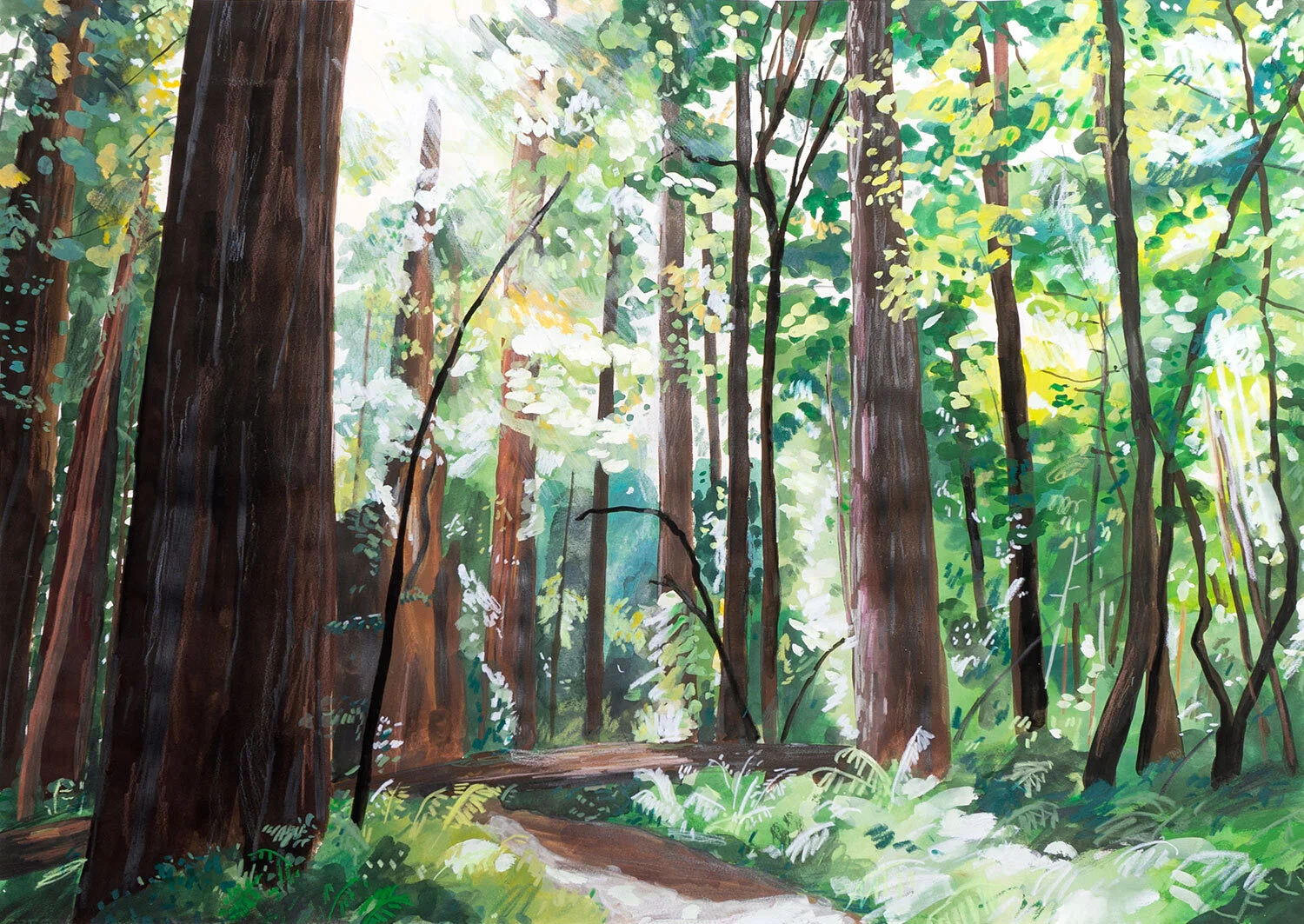 redwoods_new_web.jpg