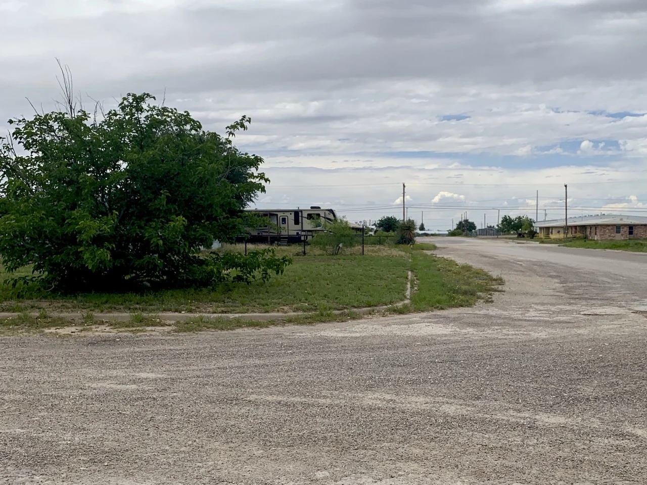 Wink has lovely curbs throughout town, thanks to a 1960’s federal redevelopment program. Many of them are now overgrown.