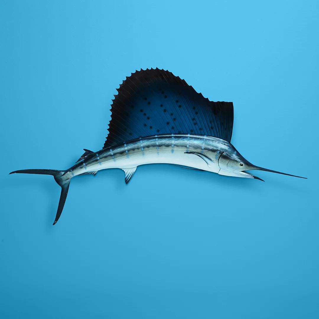 photograpy_1080x1080_0008_125 hanger propped_working.jpg