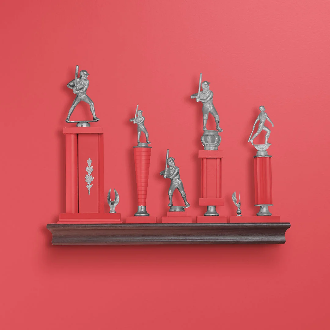 photograpy_1080x1080_0006_shelves trophies_working.jpg