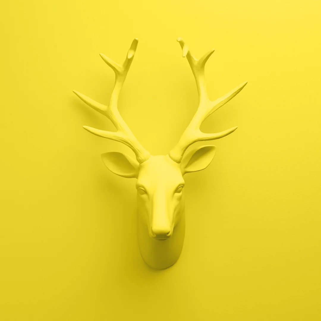 photograpy_1080x1080_0014_40 hanger prop_working.jpg