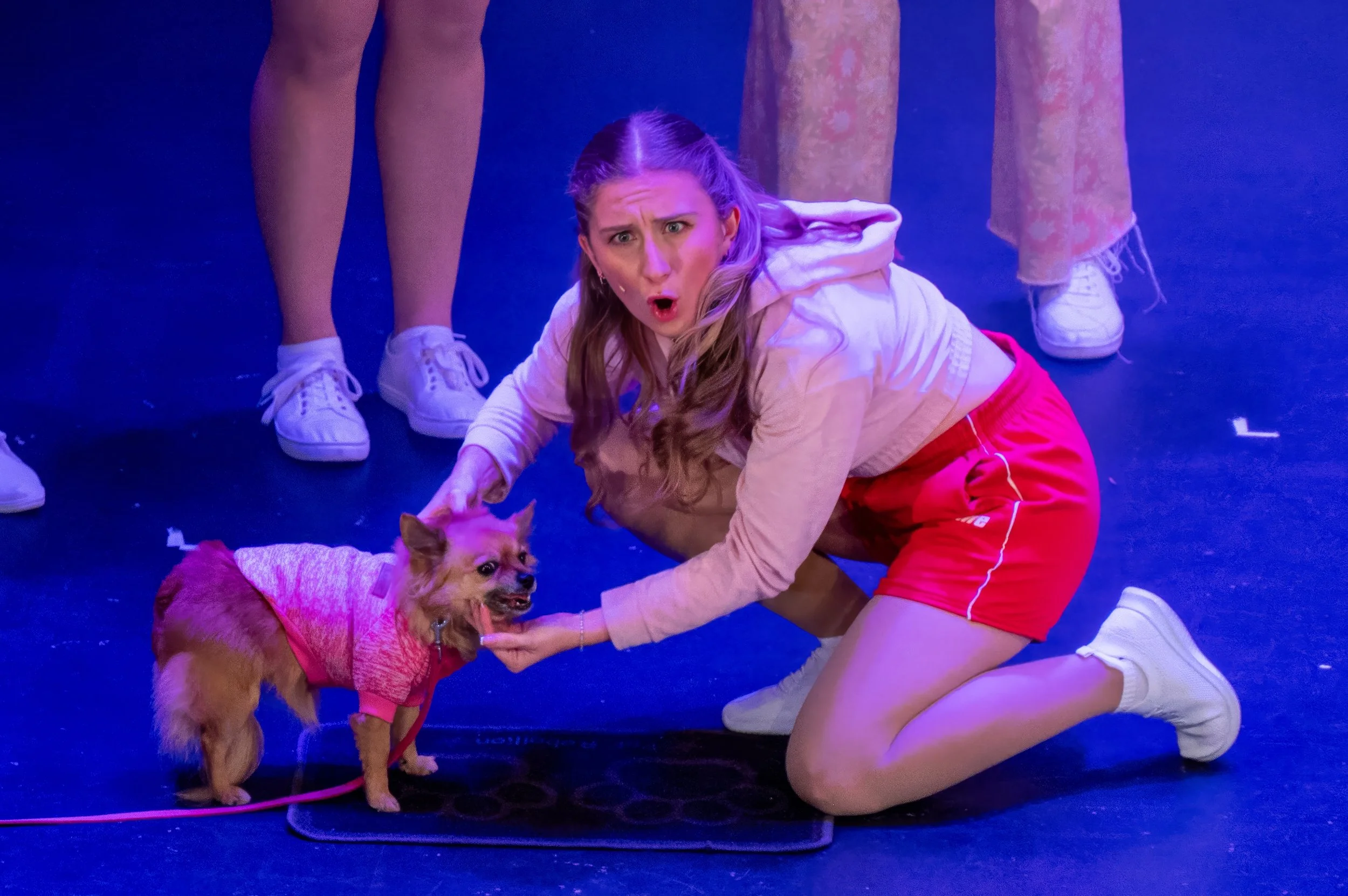 DTCo - Legally Blonde - Show 00010.jpeg