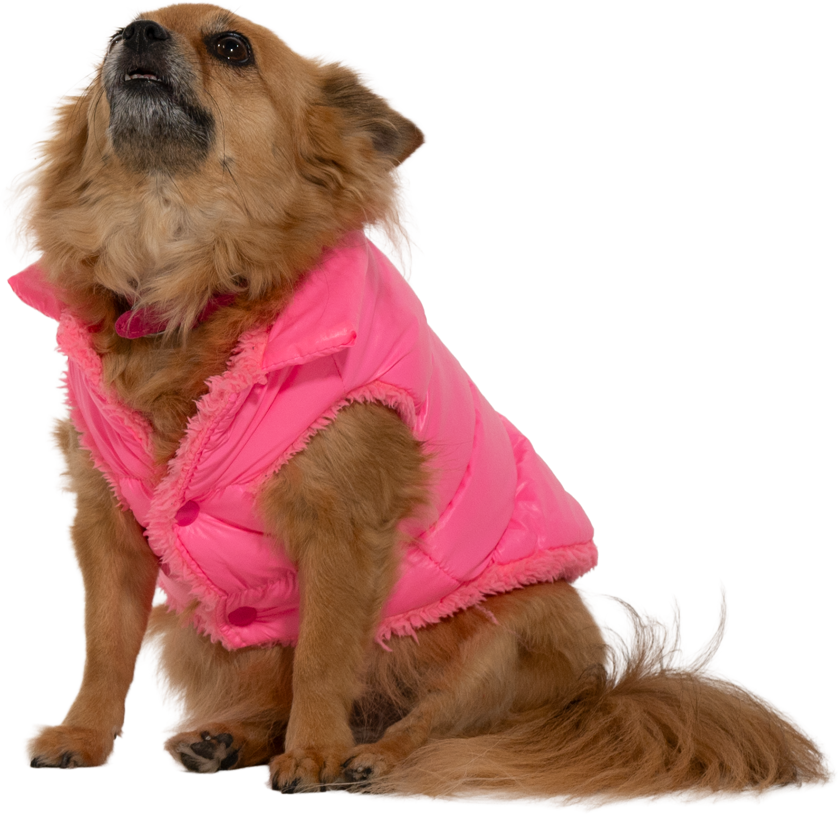 DTCo - LB - Bruiser 02.png