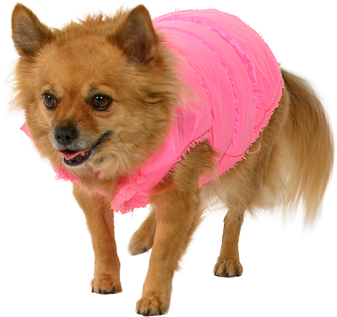 DTCo - LB - Bruiser 05.png