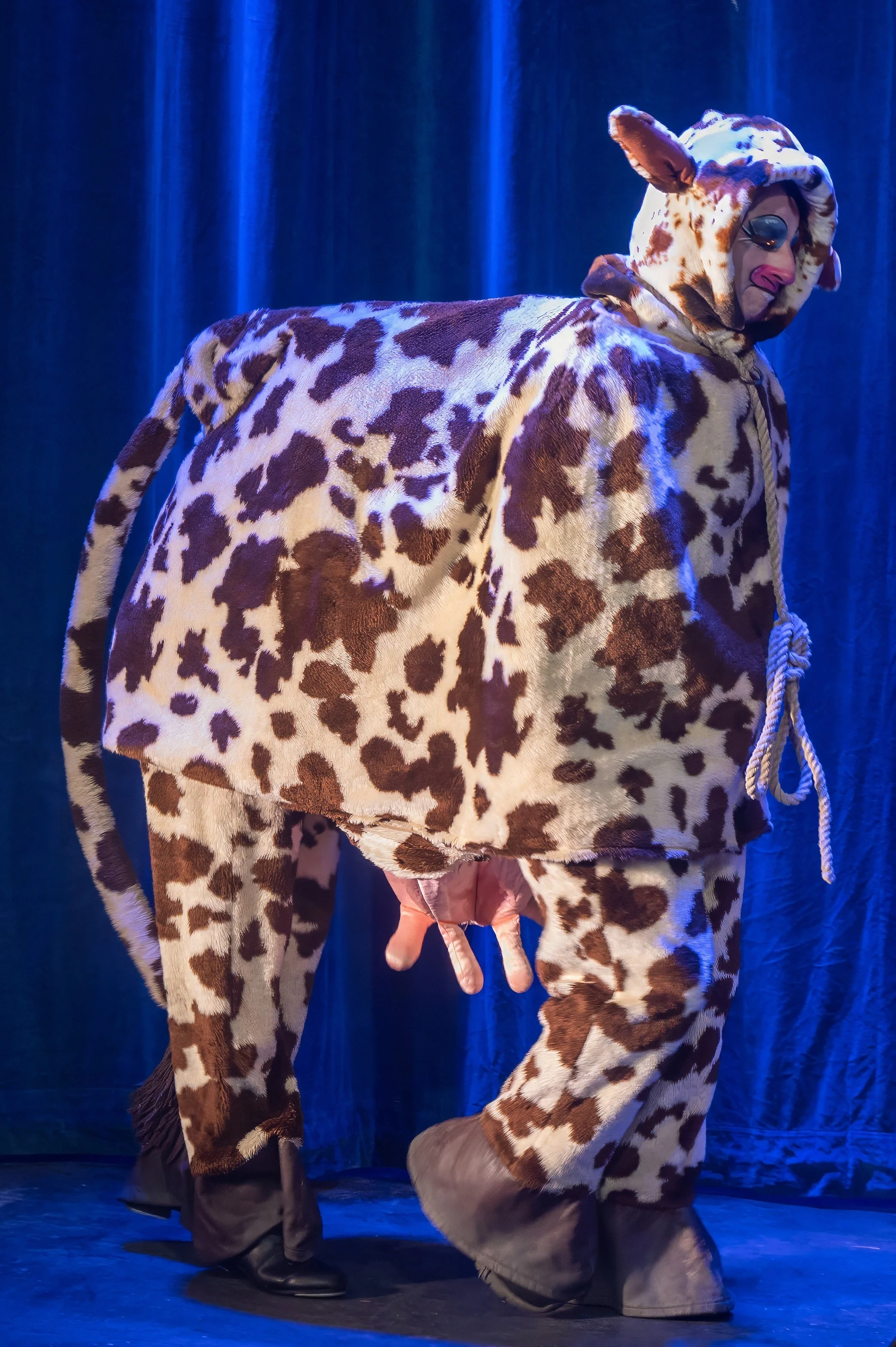 DTCo - JatB - Show - 00125.jpg