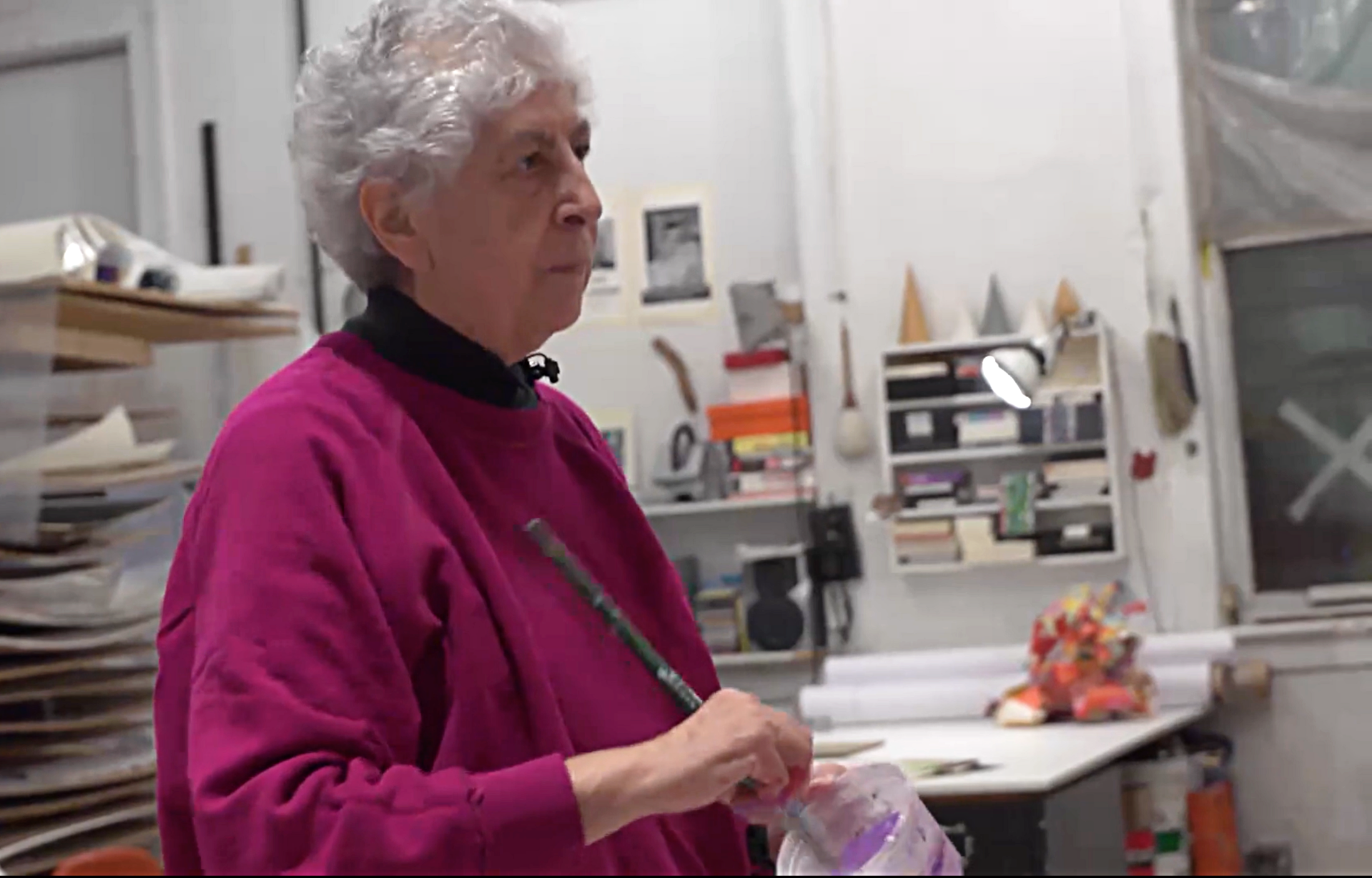 Painter Samia Halaby