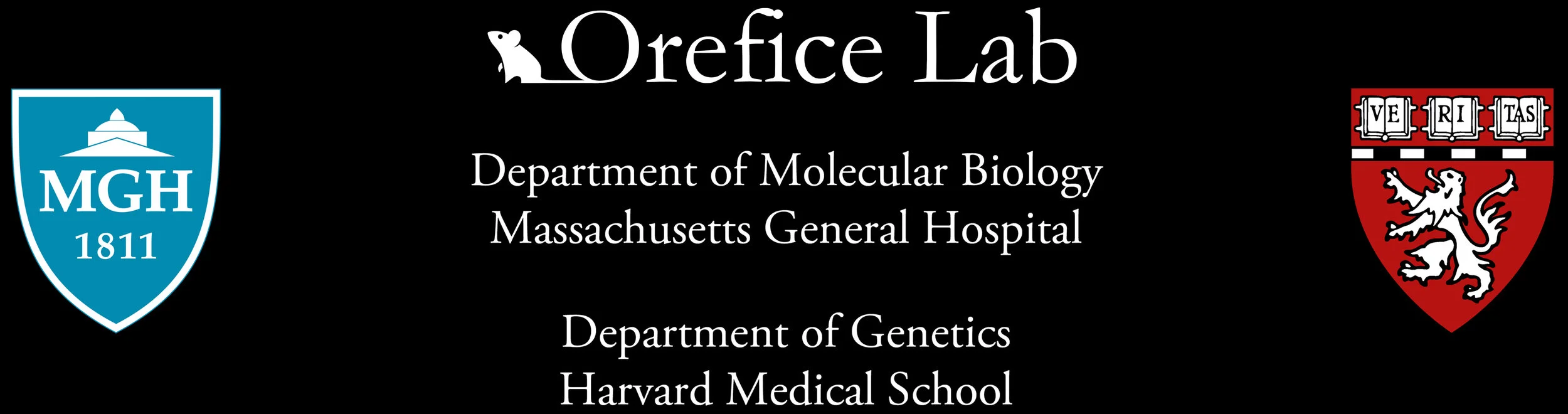 New Lab header.jpg