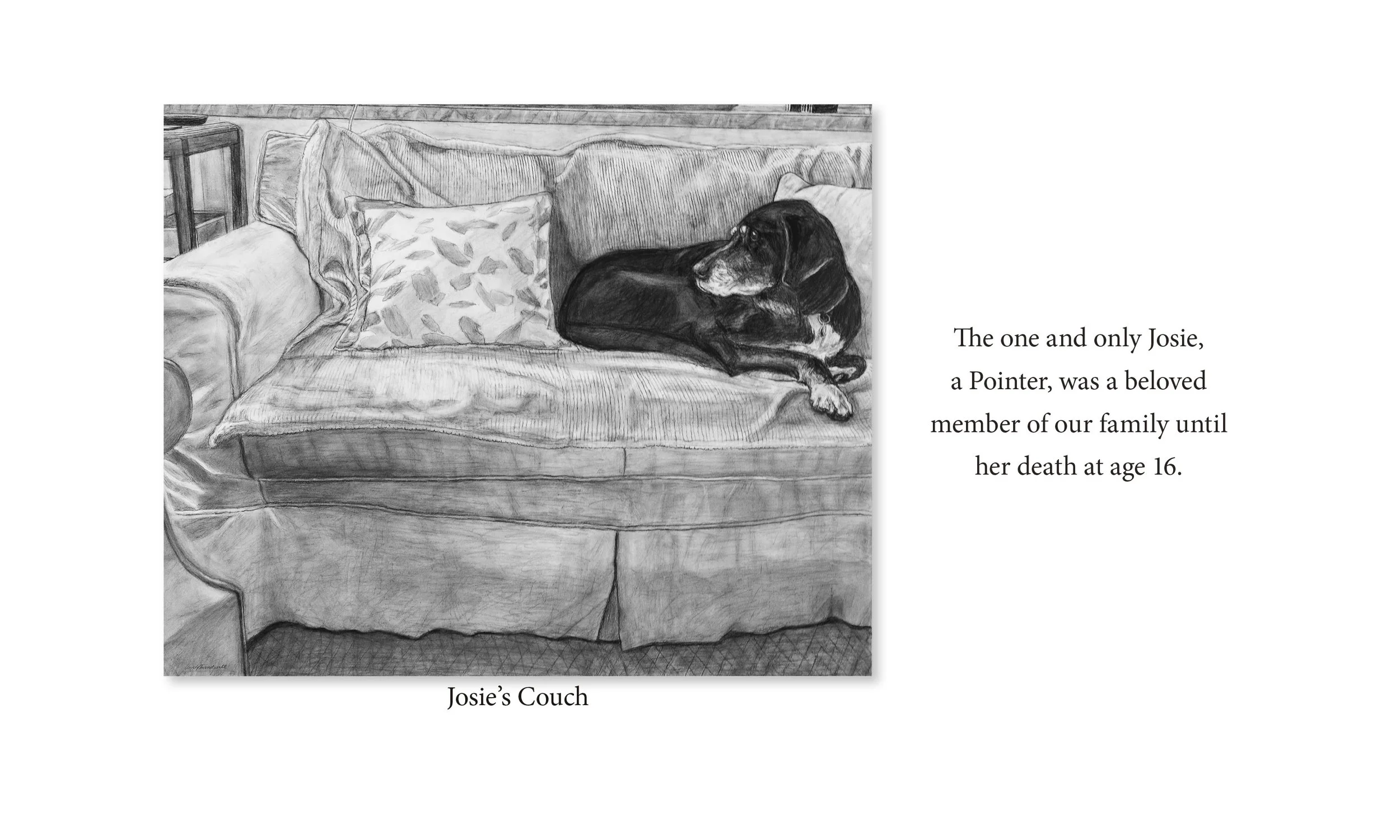 Josie's Couch.jpg