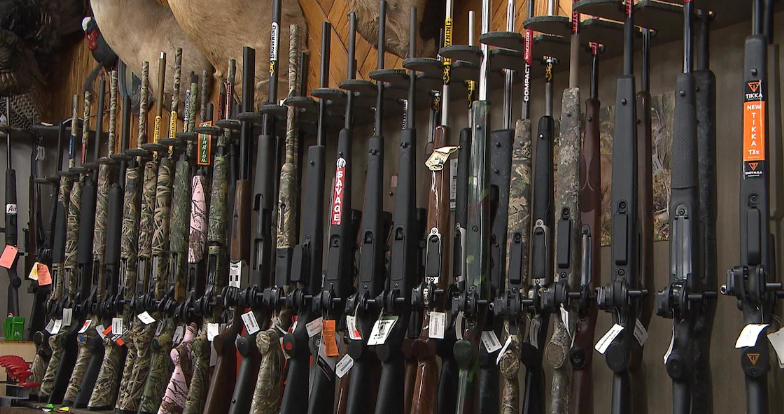 Les élus municipaux de la Haute-Côte-Nord critiquent le registre des armes à feu