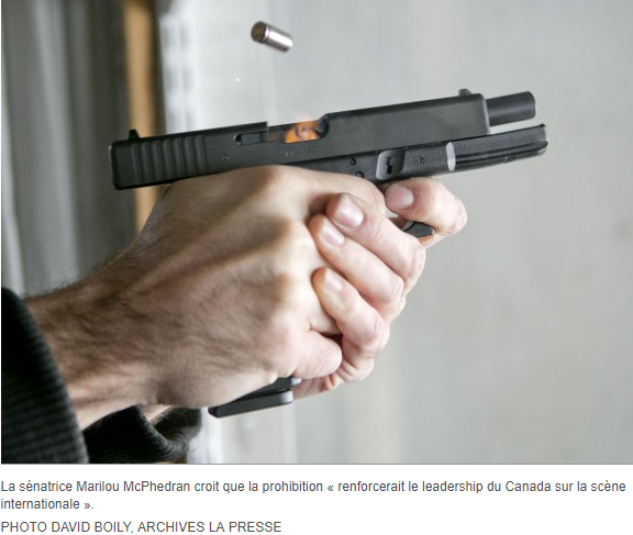 Une sénatrice veut bannir les armes de poing