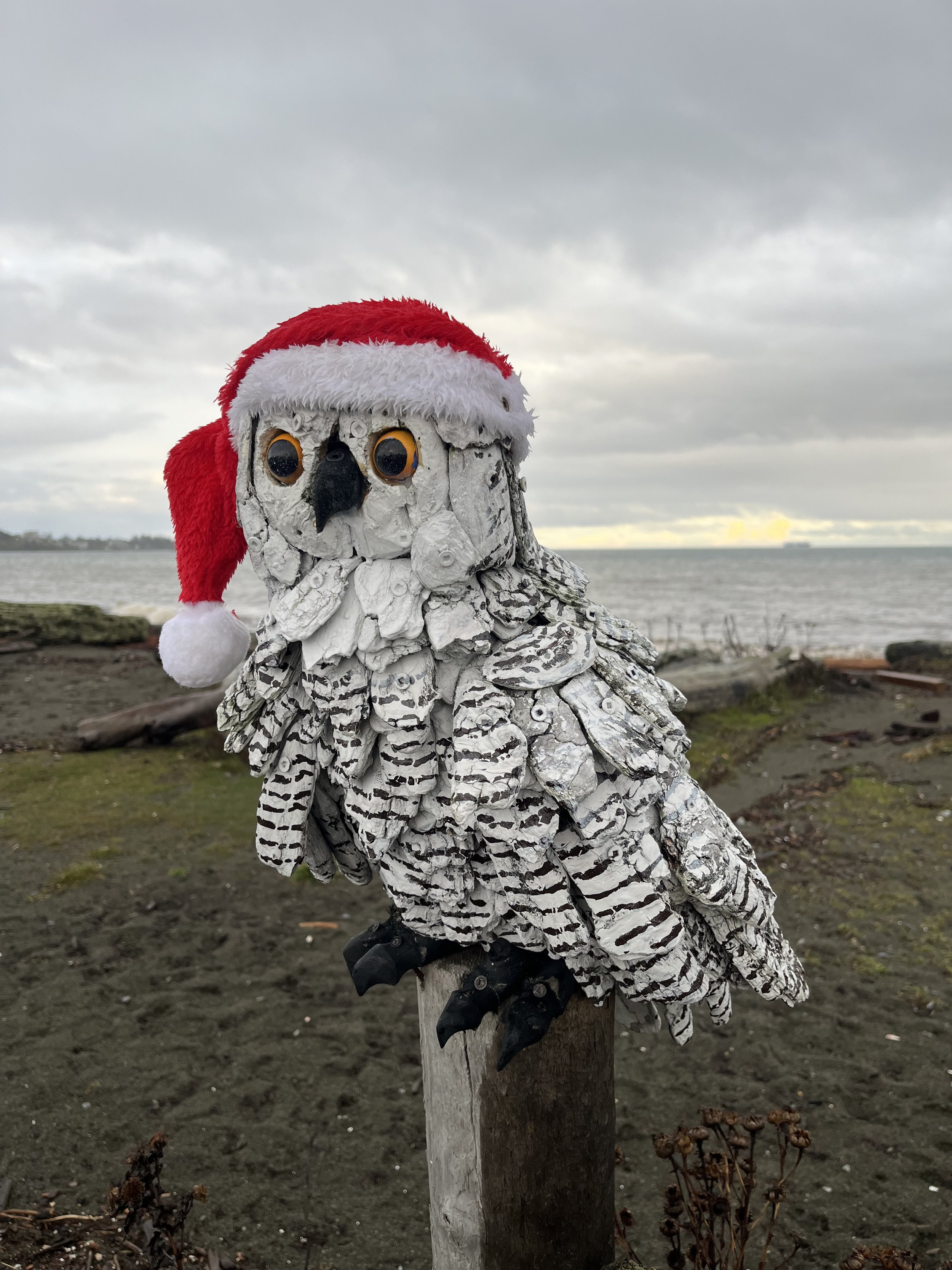 What I've learned in 2025: True Happiness requires work