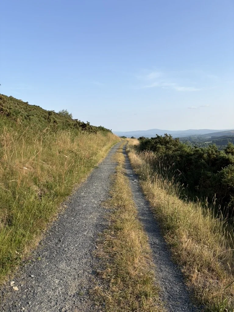 Notes from My Camino Part 1: The Gift of Spaciousness