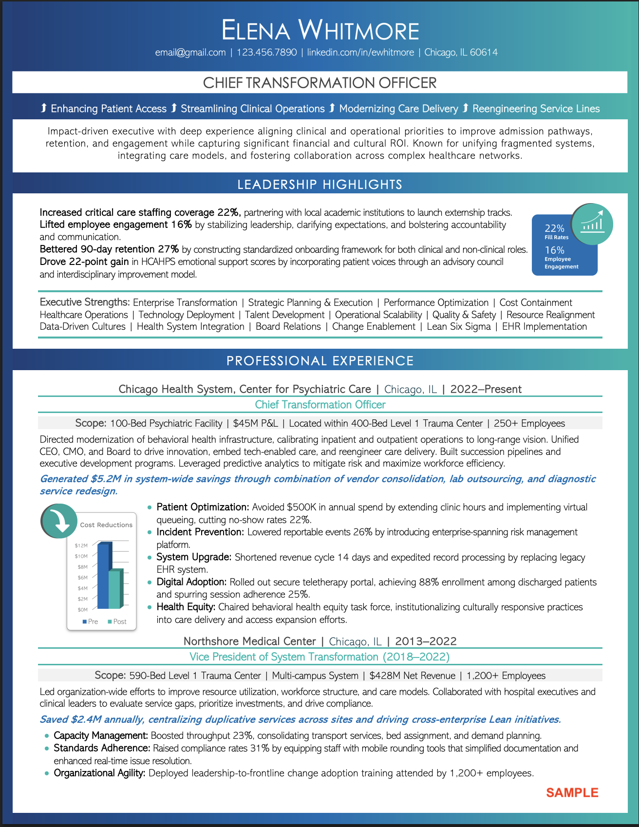 C-Suite Resume Example Healthcare