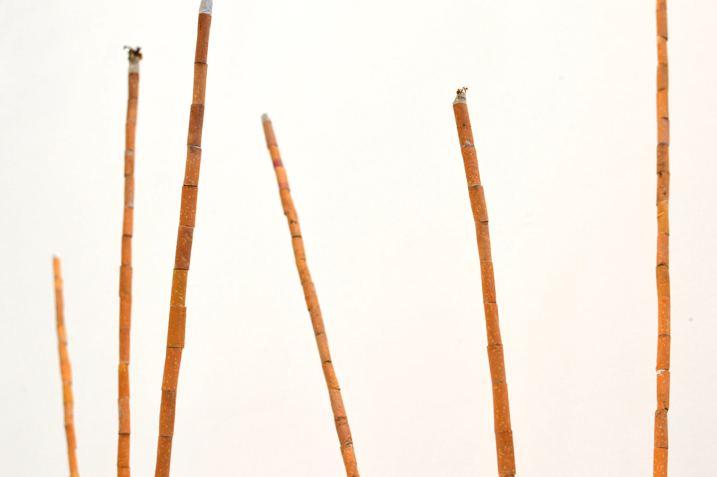 The Pavilions 2018 cigarette butts & floral foam 111x39x19cm