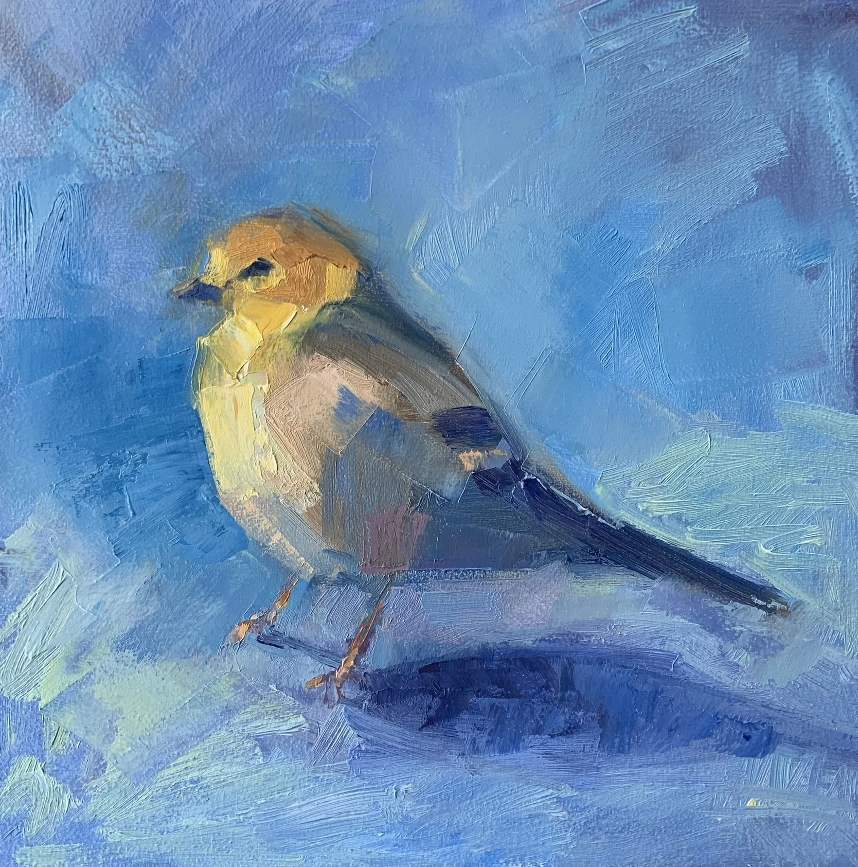 Bird, 8x8", oil
