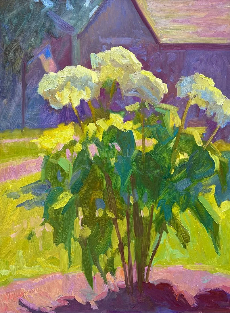 State Circle Hydrangea, 12x16", oil