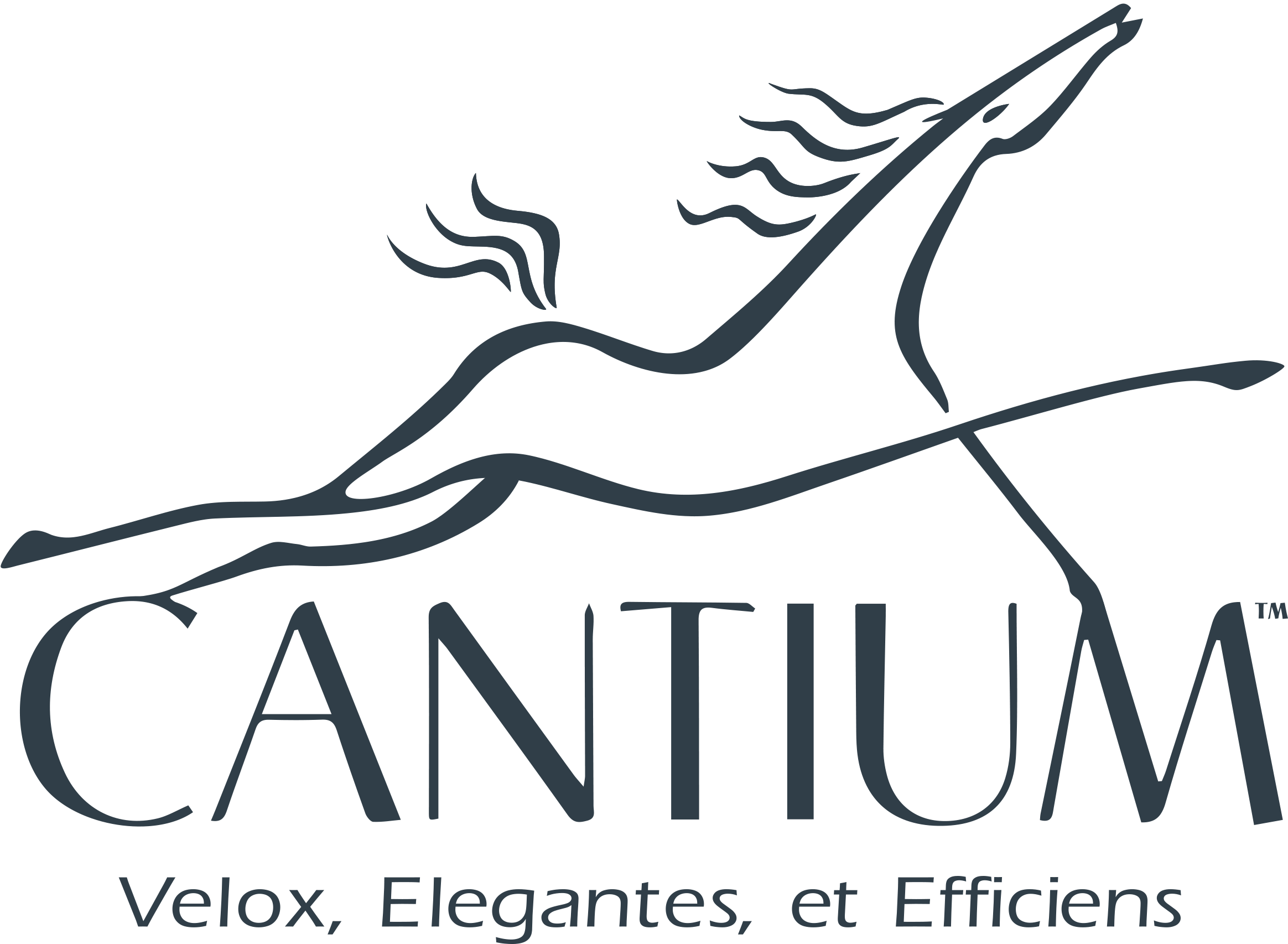 Cantium_Logo_Text_Tagline.png