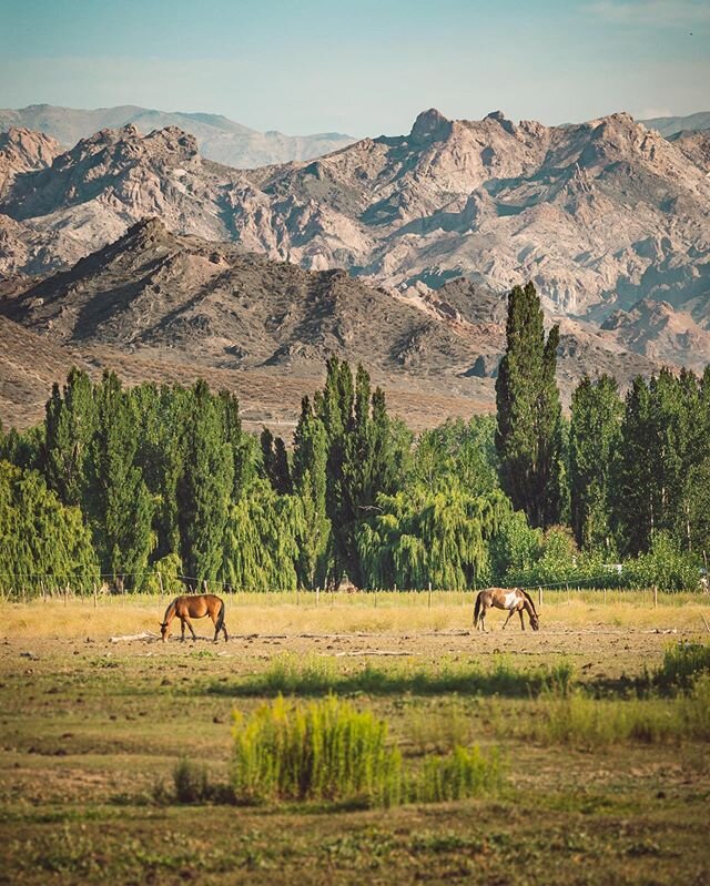 Uspallata, Mendoza 🇦🇷- Gateway to The Andes ⛰🍷❗️.
.
.
#natgeo #traveldeeper  #the_folknature #vacationwolf #theglobewanderer #passionpassport  #natgeotravel #travelphotography #travelling #natgeotravel #instatravel #igtravel #ourdailyplanet #trave