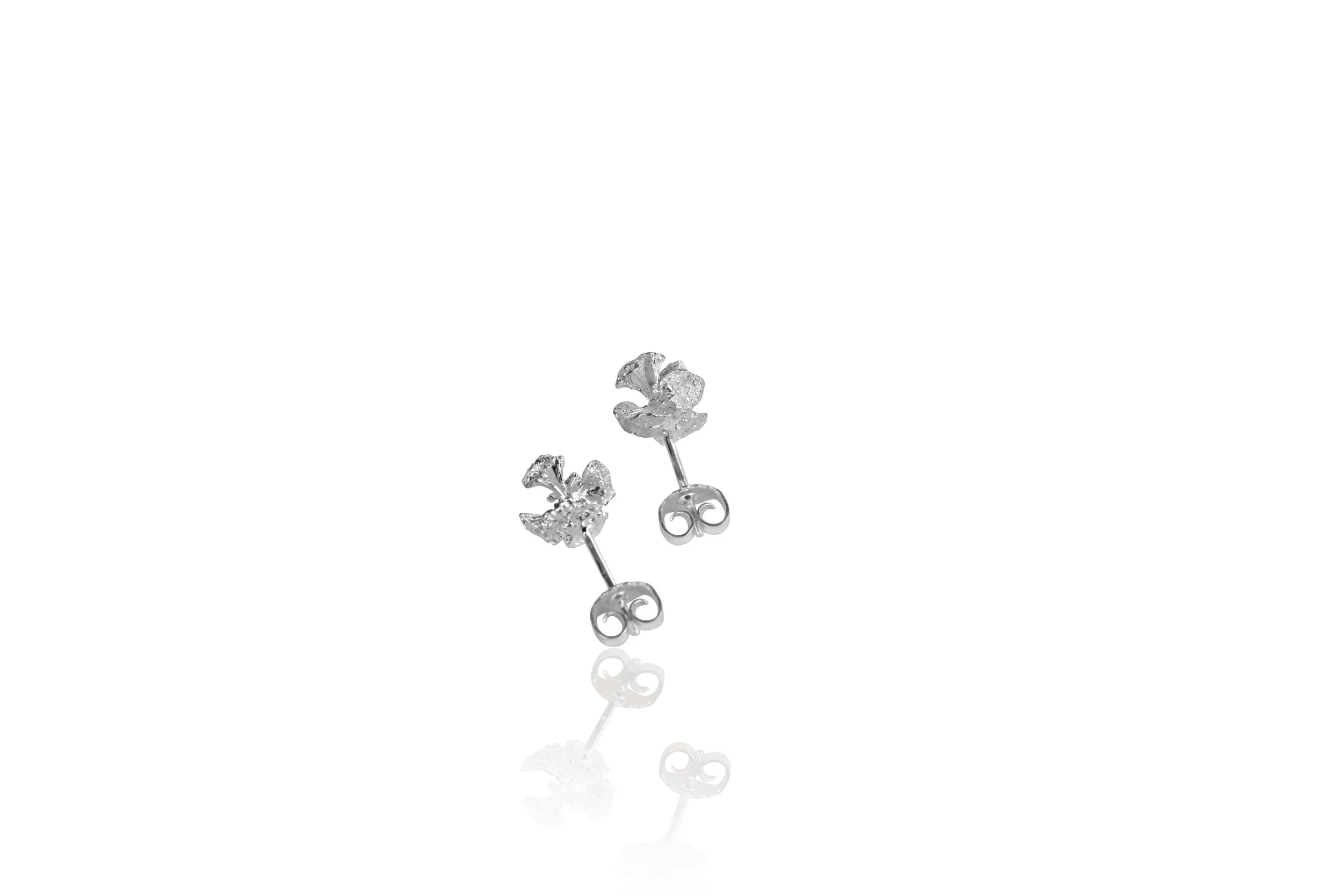 Vido Jewels Thuja studs sølv 925.JPG
