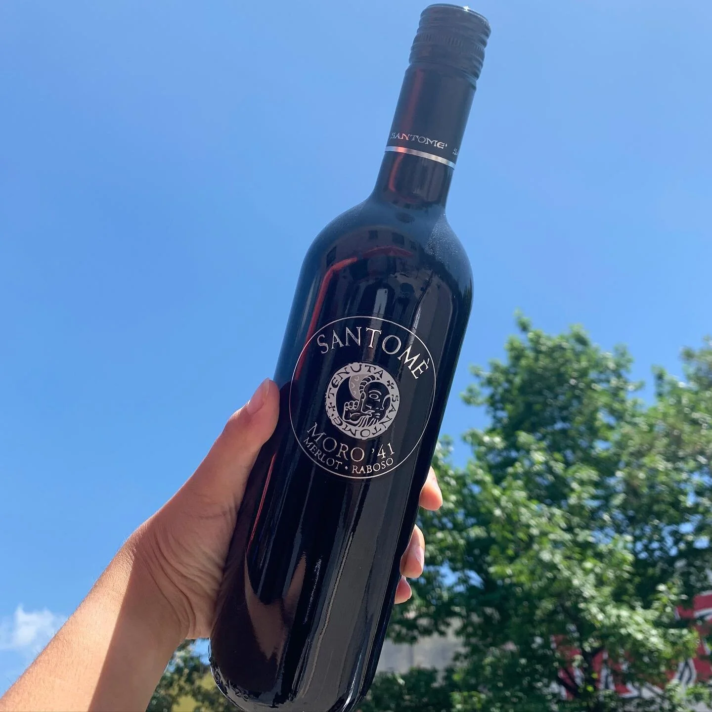 Today&rsquo;s 🍷: The @tenutasantome_official MORO 41

#treamici #redwine #merlot #merlotwine #redredwine #raboso #italianwine #torontowine