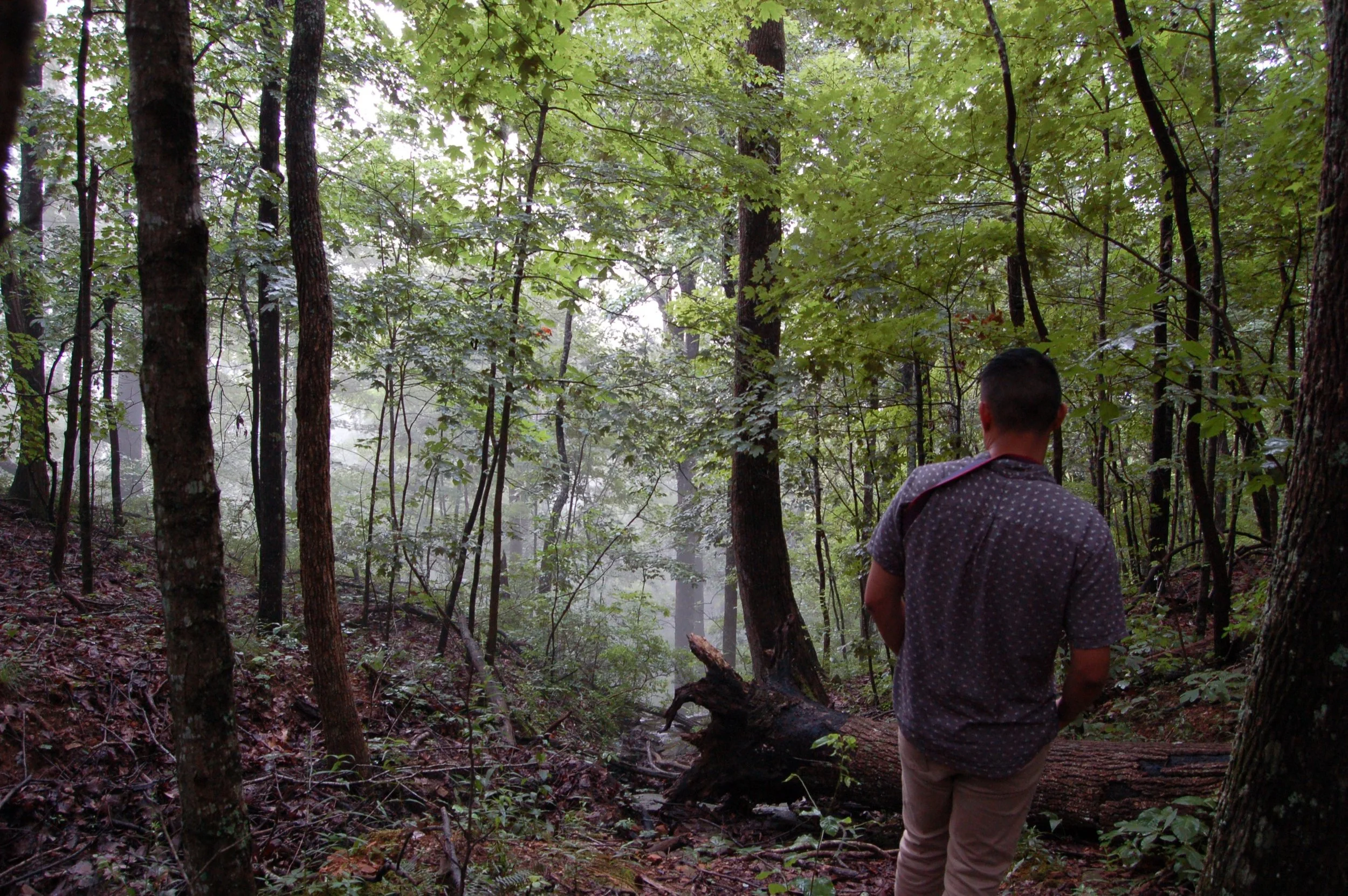 Monte Sano State Park, AL