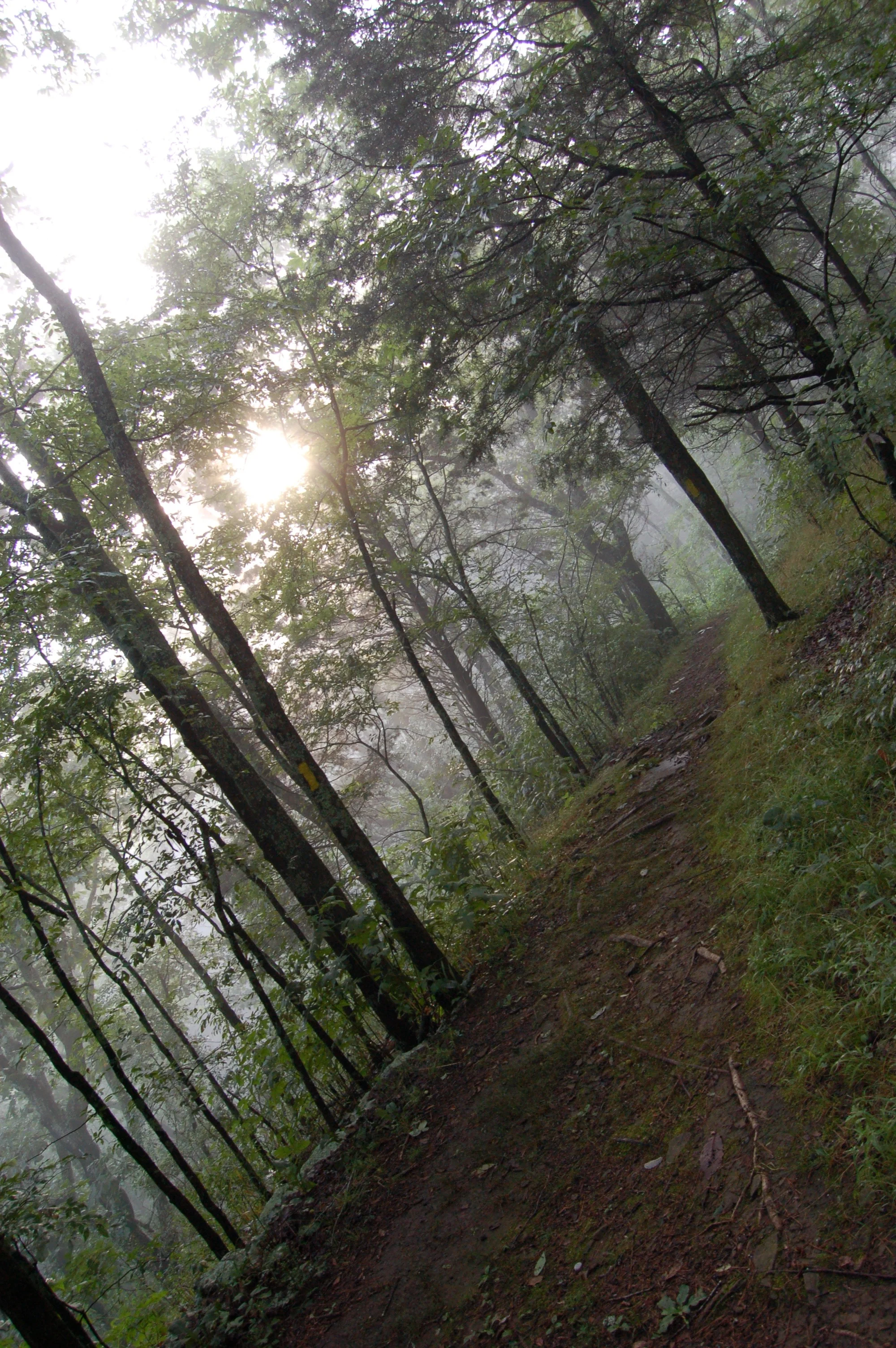Monte Sano State Park, AL