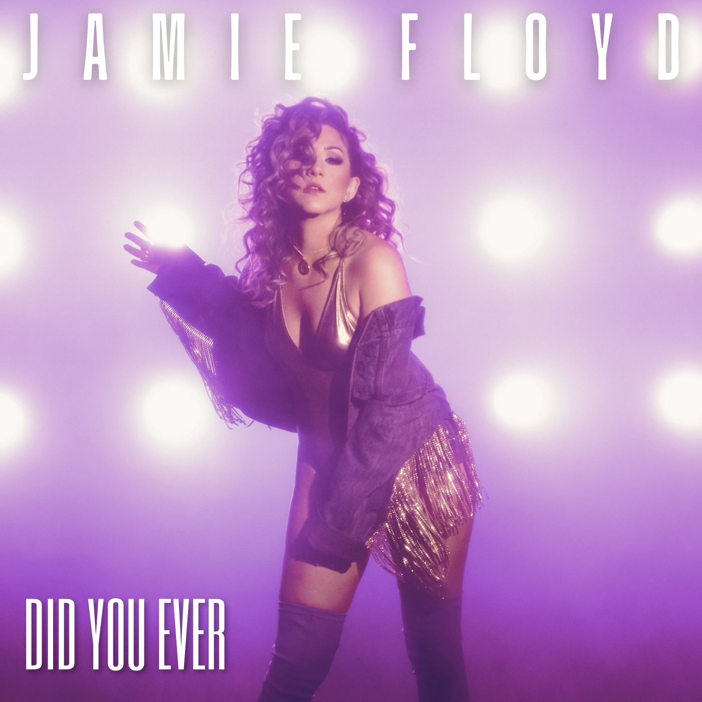 Did You Ever Album art.PNG