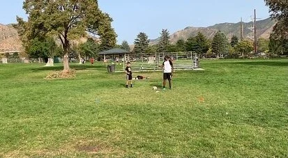 ▫️Working on moves to beat an opponent 1v1. 
.
.
#kwsfutbol..............Link in bio⬆️⬆️
.
.
#kwsfutboltraining #kwsfutbol #kws #training #soccerskills #soccerdrills #soccerlife #soccertraining #soccer #soccerball #f&uacute;tbol #visubal #drills #ski