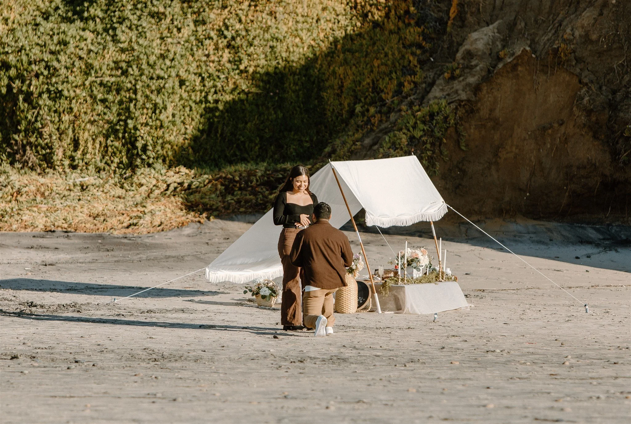 Michael & Leia Proposal Photos-28.jpg