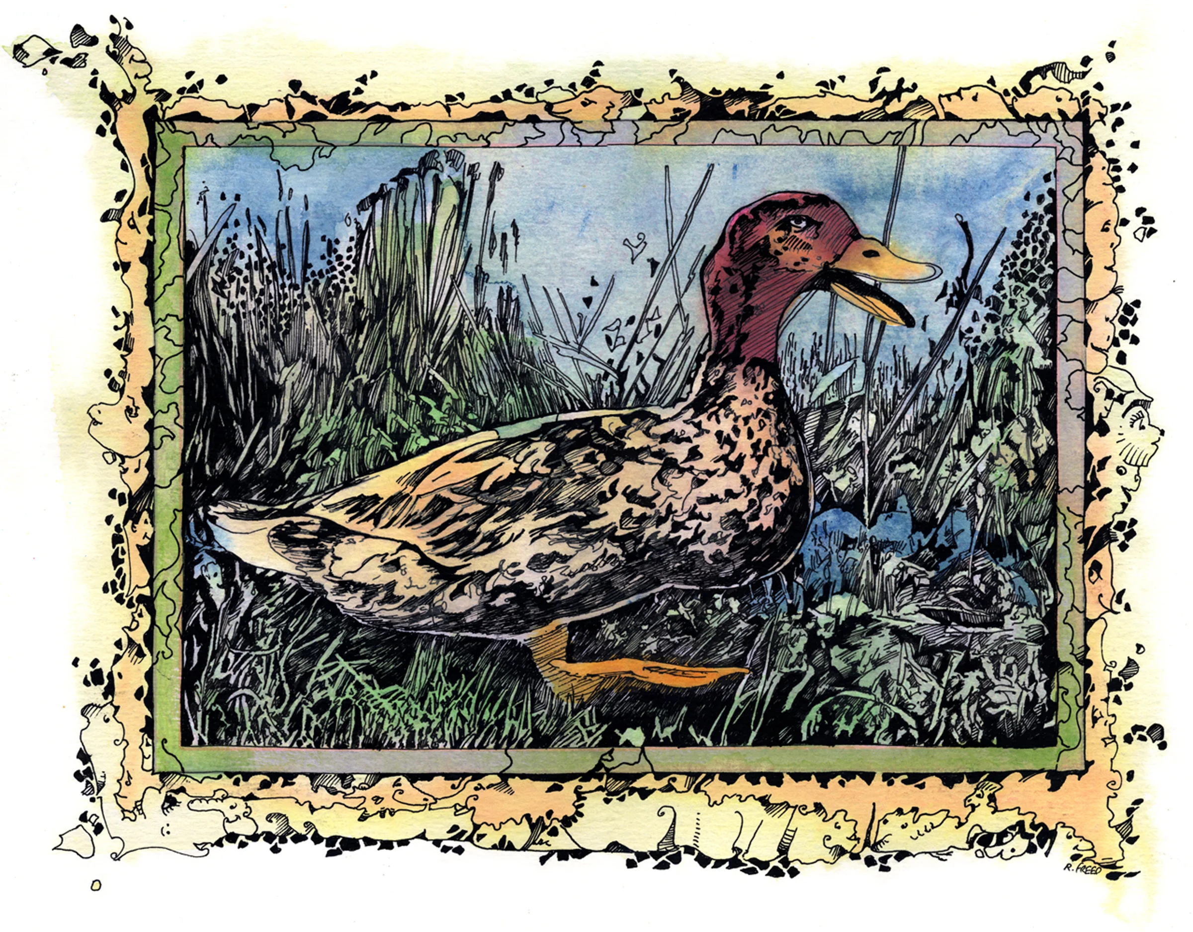 Quacking Around.jpg