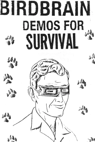 Birdbrain - Demos for Survival