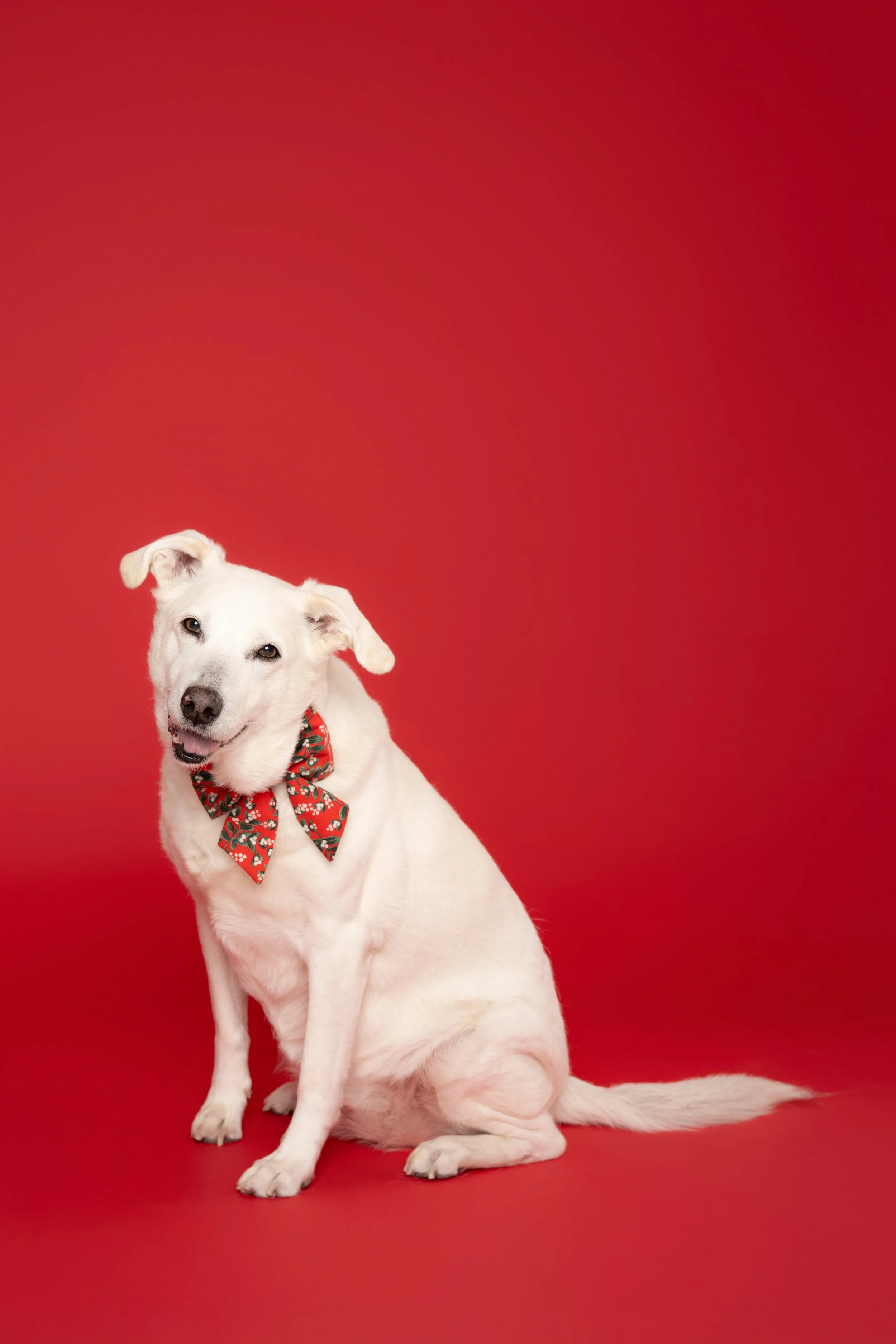 DSC_6430 copy-Clean.jpg