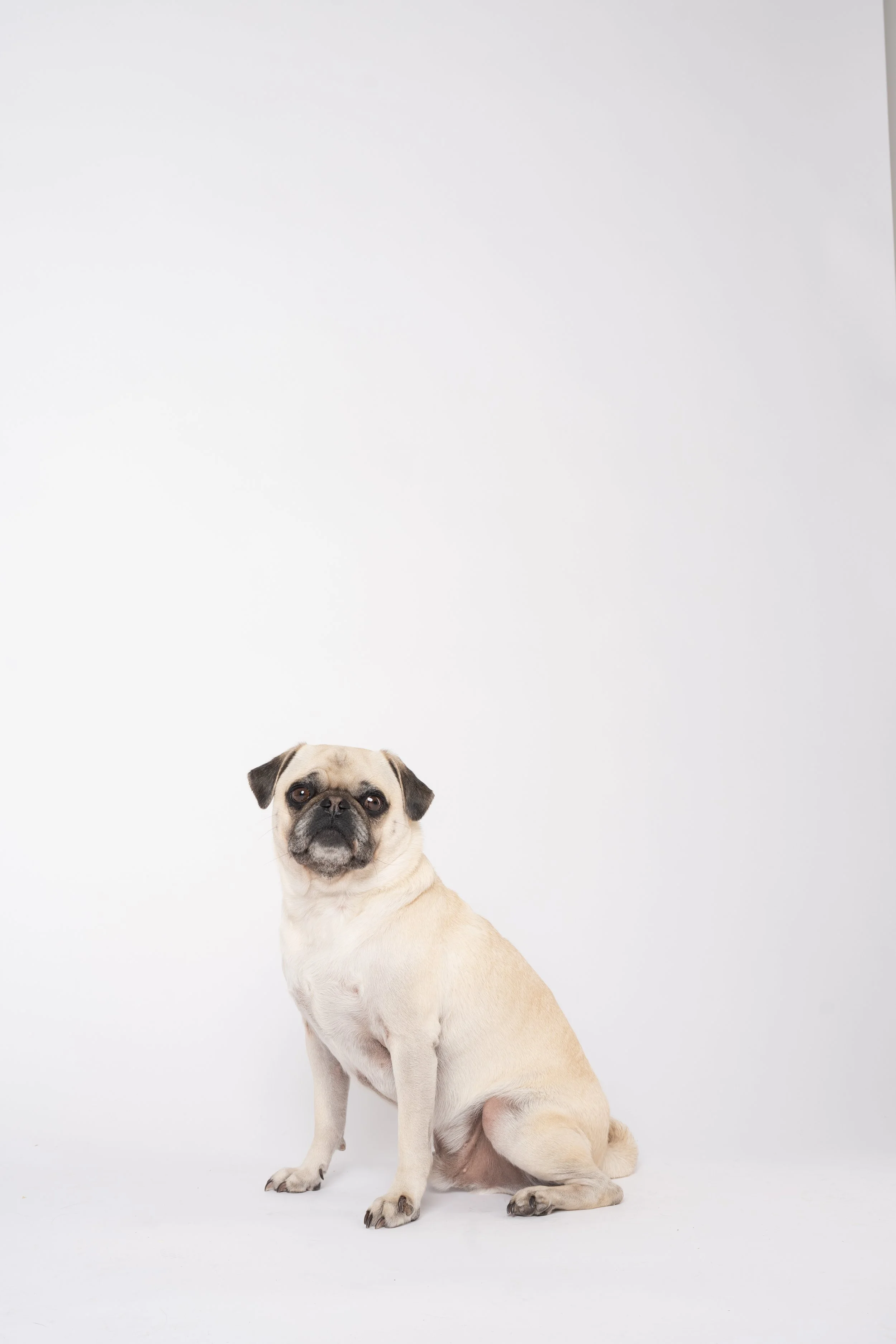 DSC_6935 (2025-12-17T19_28_29.178).jpg