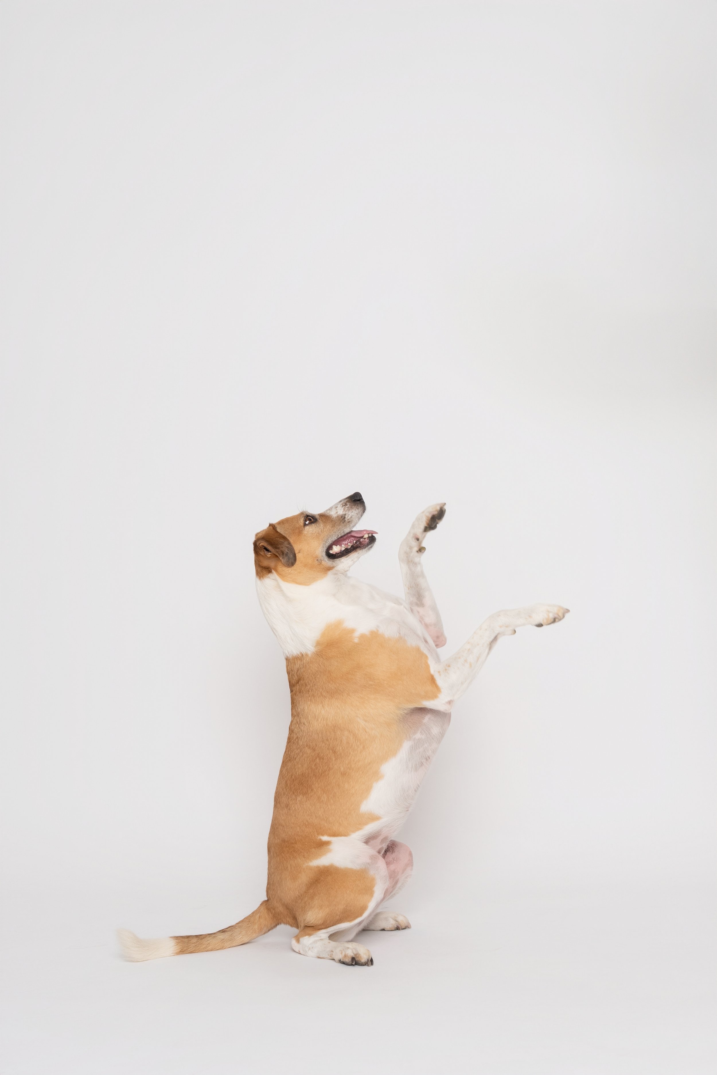 DSC_6576 (2026-01-02T05_14_42.843).jpg