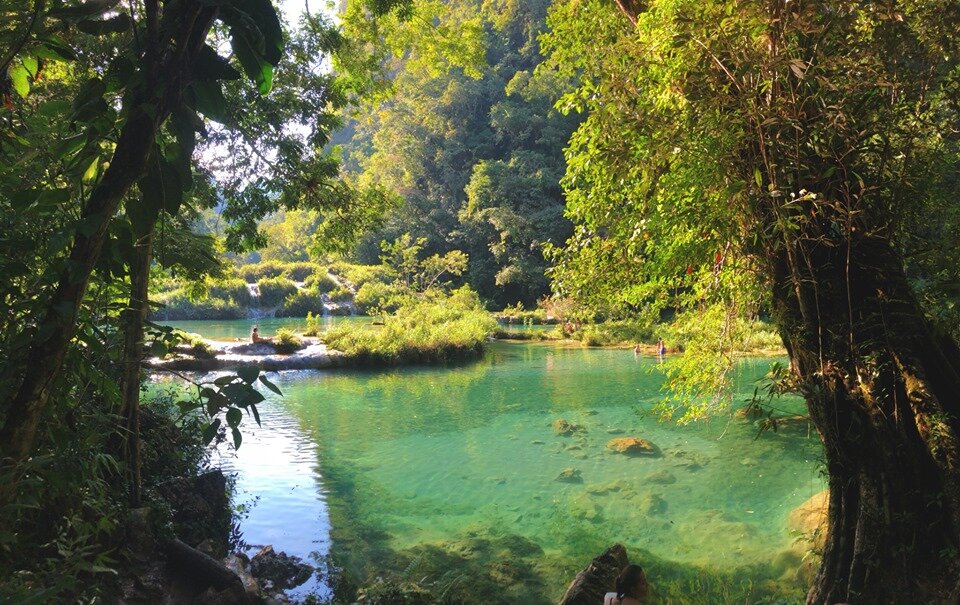 Semuc in the trees.jpg