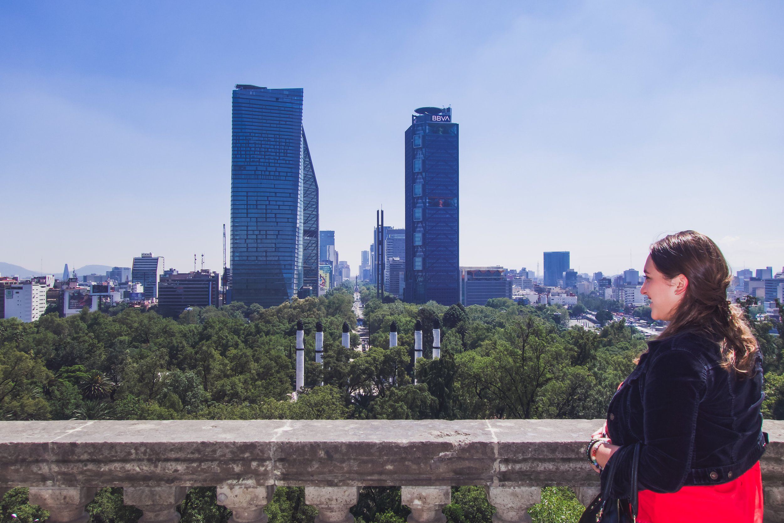 Mexico City View.JPG