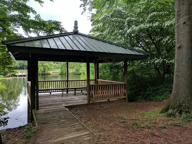 pond-2341753_640.jpg