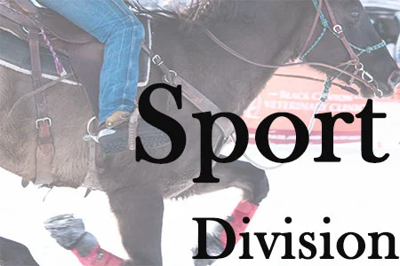 sport thumbnail.jpg