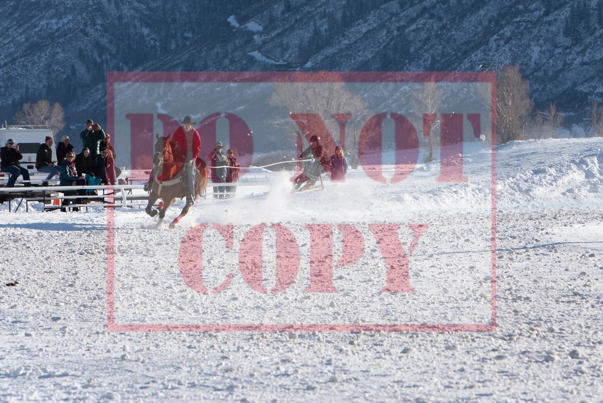 _DSC7088.jpg