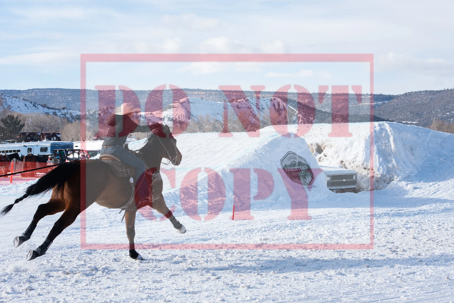 _DSC6987.jpg