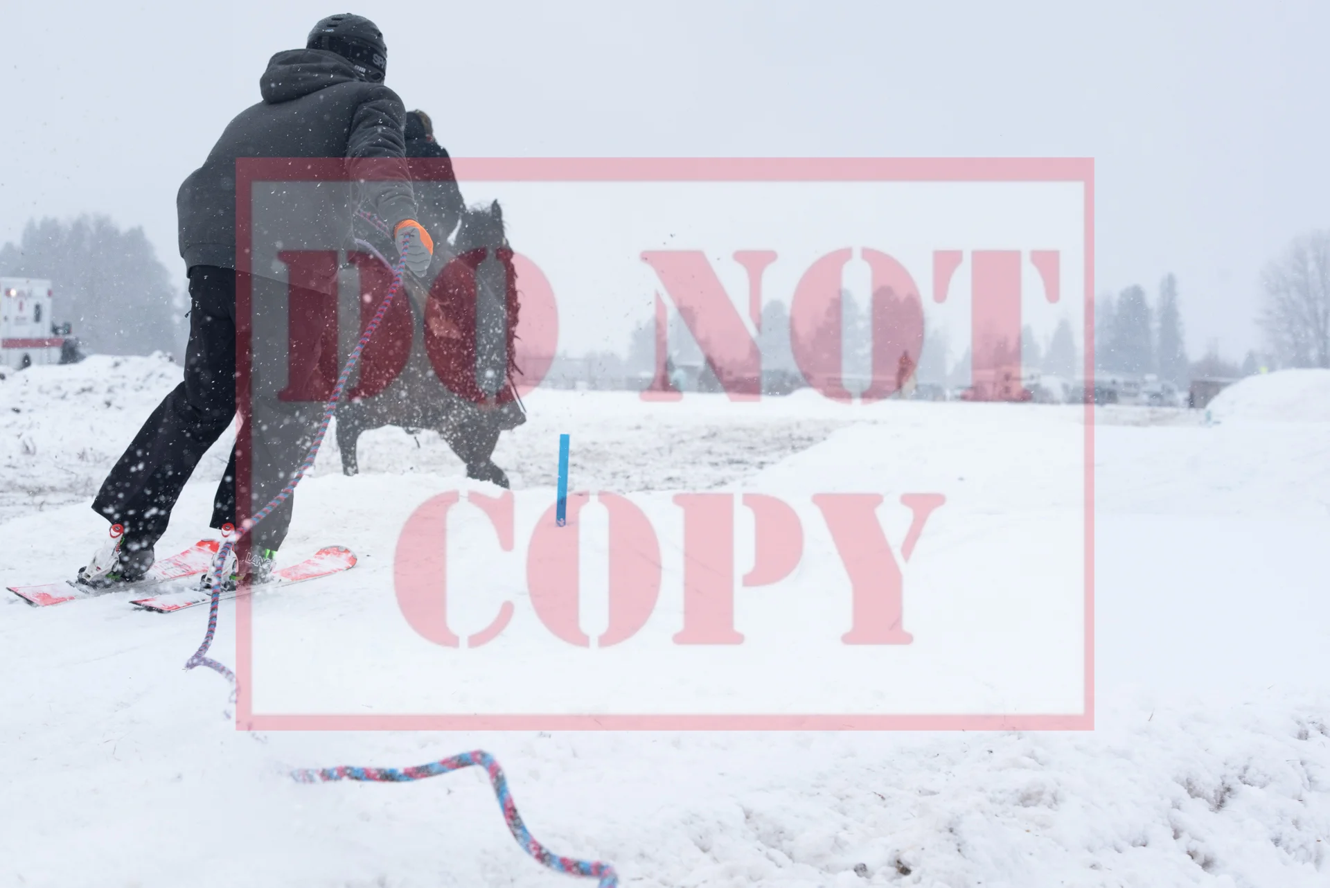 _DSC8660.jpg