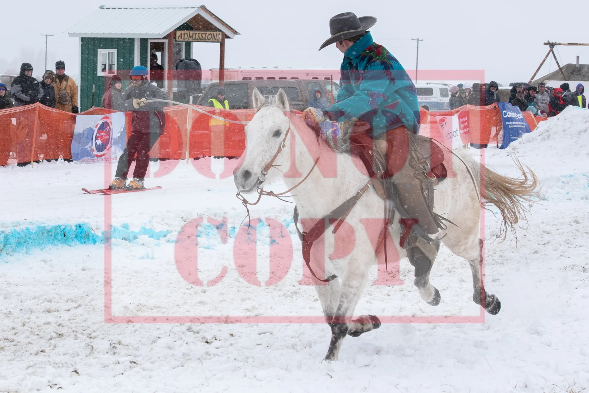 _DSC7560.jpg