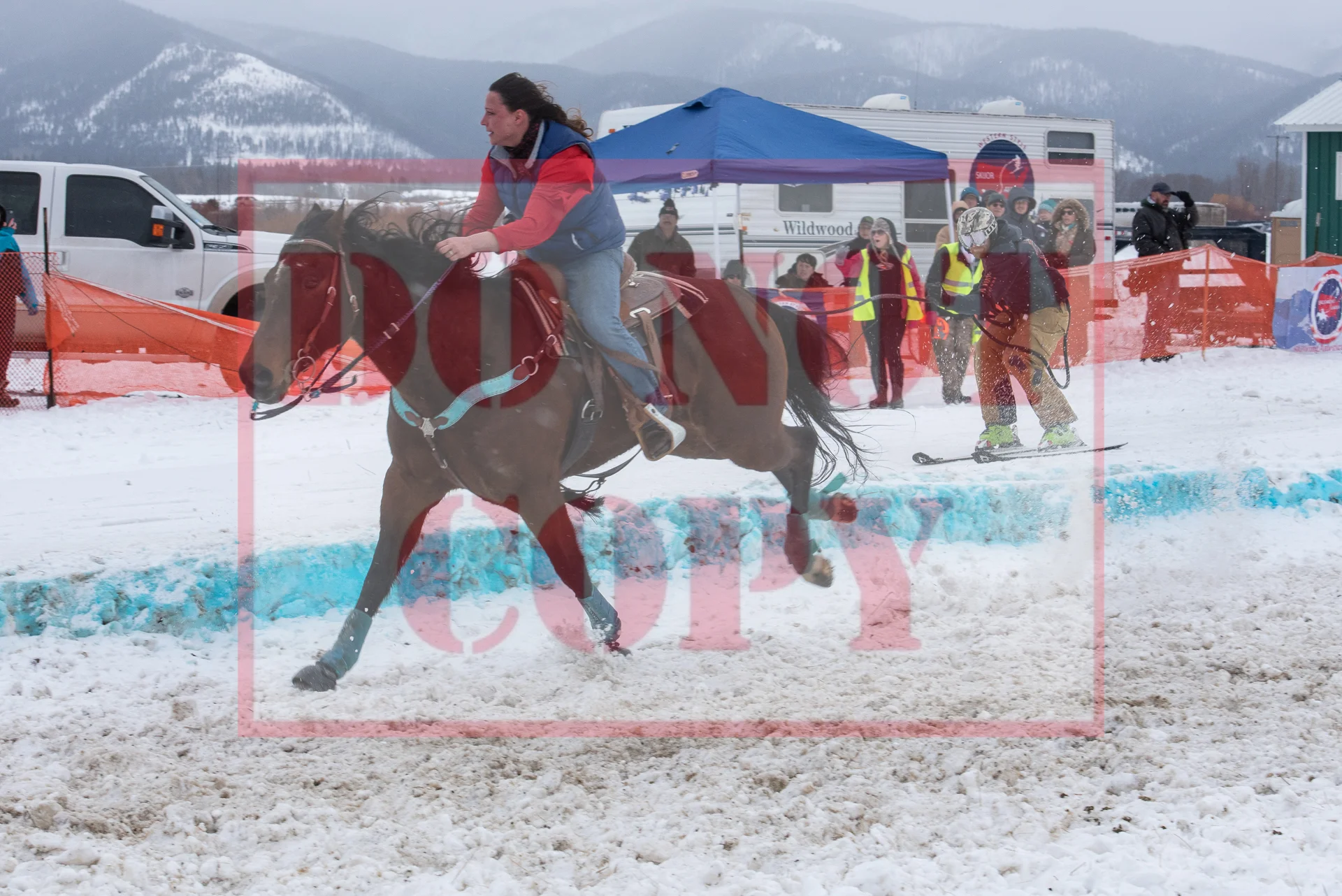 _DSC8058.jpg