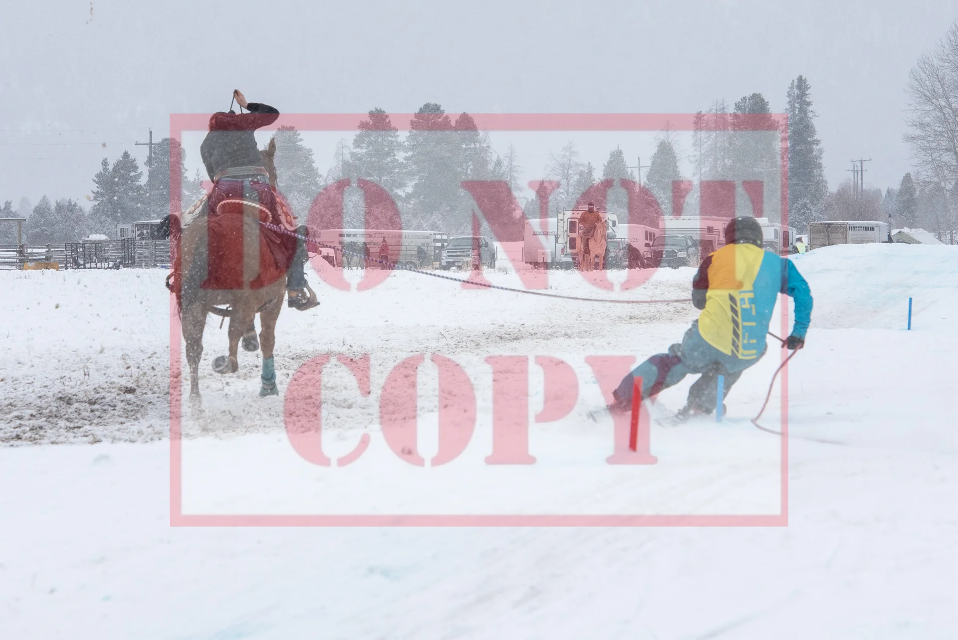 _DSC9127.jpg
