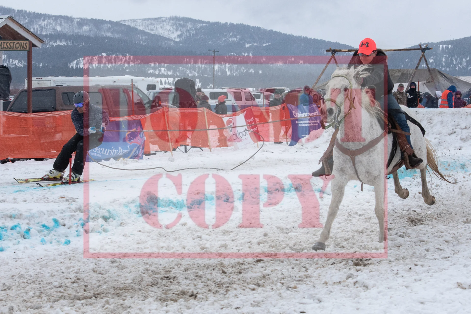 _DSC8175.jpg