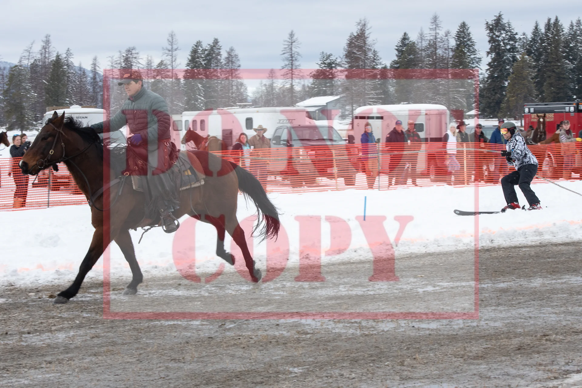 _DSC9285.jpg