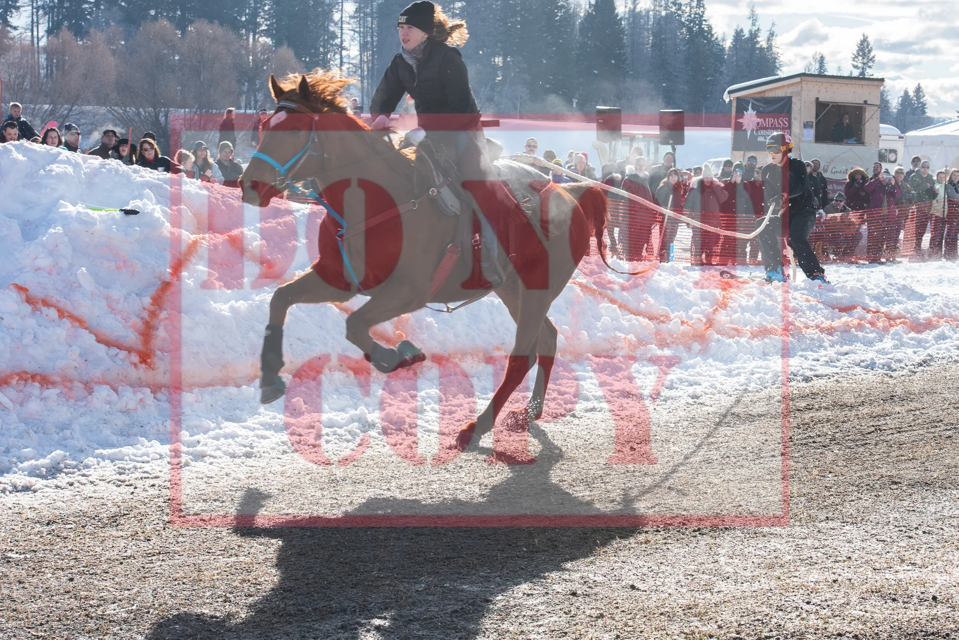 _DSC0389.jpg